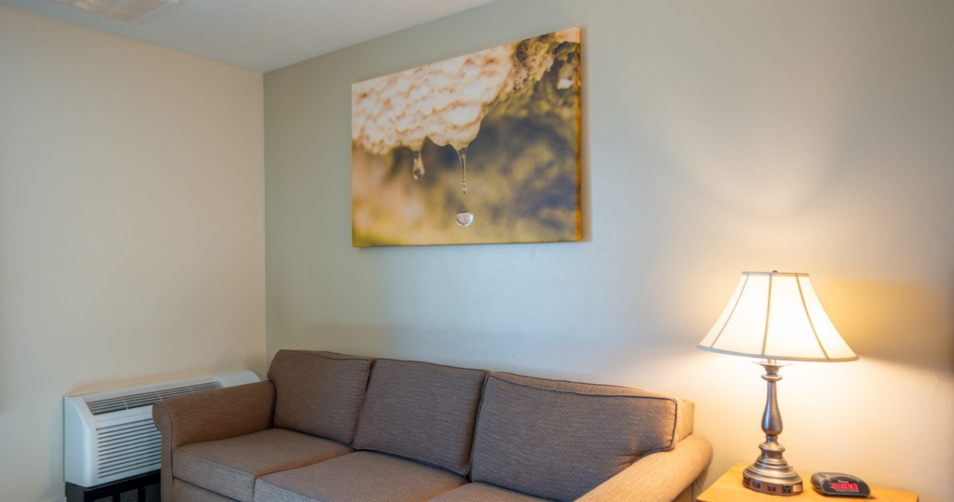 The living room decor