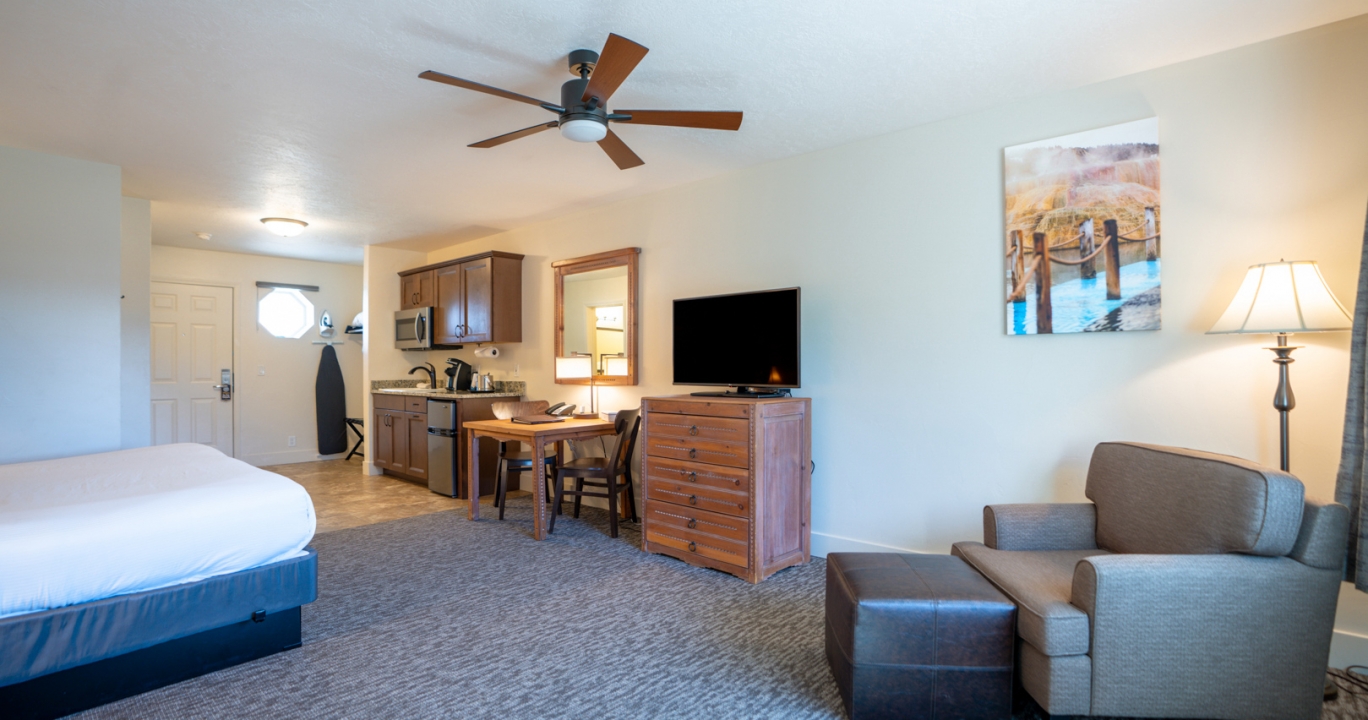 Deluxe living area next to the bedroom and kitchen