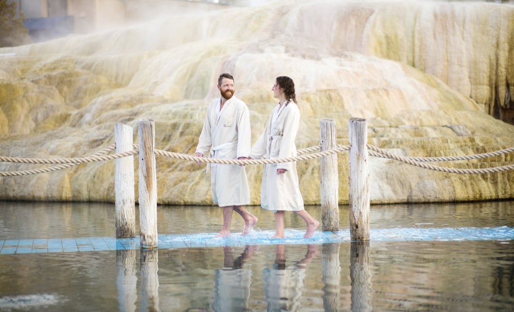 Detox Journey Overview